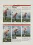 Page: - 42 | Golf Digest