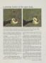 Page: - 101 | Golf Digest