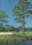 Page: - 97b | Golf Digest