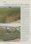 Page: - 74 | Golf Digest