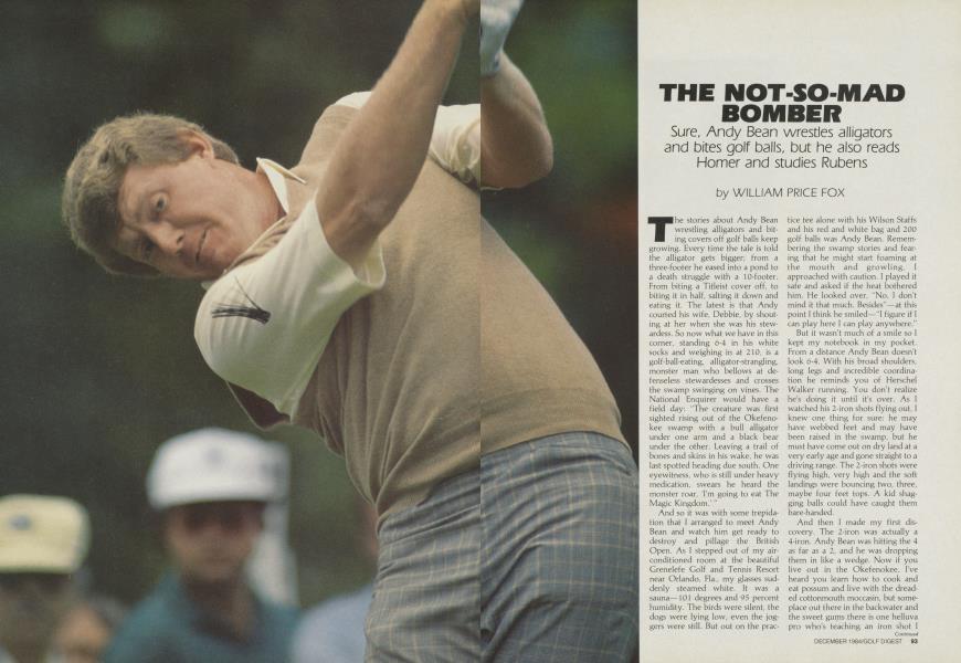 THE NOT-SO-MAD BOMBER