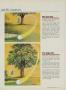 Page: - 43 | Golf Digest