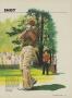 Page: - 47 | Golf Digest