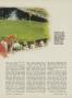 Page: - 155 | Golf Digest