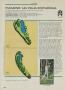 Page: - 132 | Golf Digest