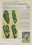 Page: - 138 | Golf Digest