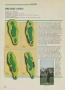 Page: - 142 | Golf Digest
