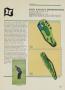 Page: - 149 | Golf Digest
