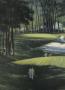 Page: - 65 | Golf Digest
