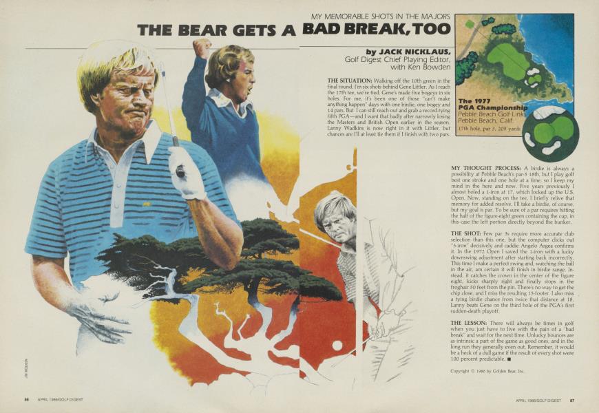 The Bear Gets a Bad Break, Too