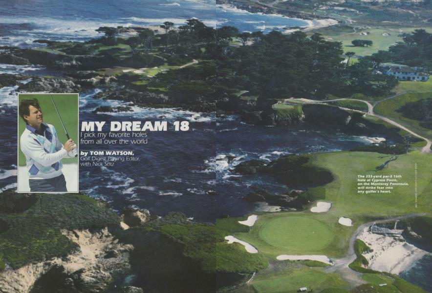 My Dream 18