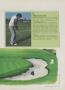 Page: - 47 | Golf Digest