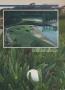 Page: - 65 | Golf Digest