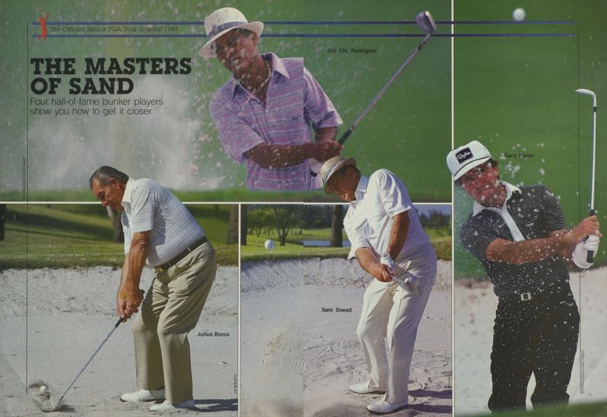 THE MASTERS OF SAND