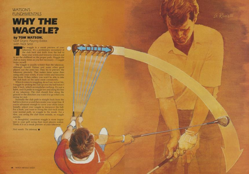 WHY THE WAGGLE?