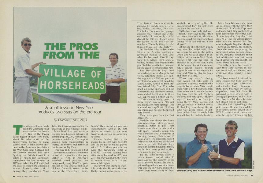 THE PROS FROM HORSEHEADS