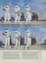 Page: - 55 | Golf Digest