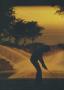 Page: - 64 | Golf Digest