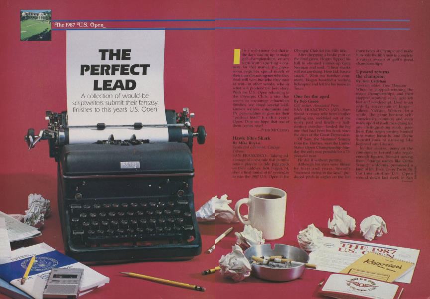 THE PERFECT LEAD