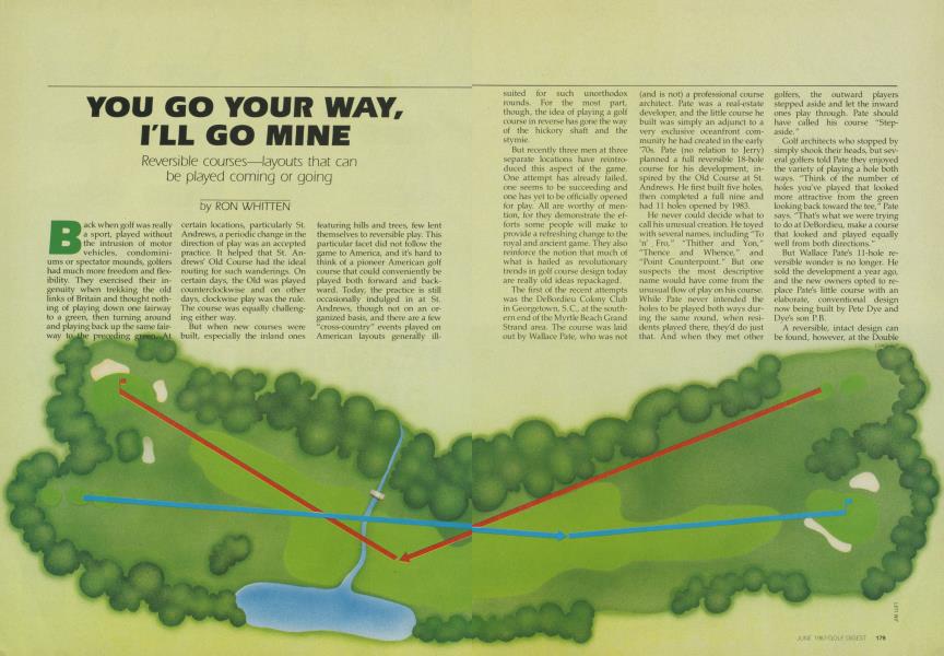 YOU GO YOUR WAY, I'LL GO MINE