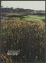 Page: - 34 | Golf Digest