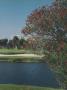 Page: - 121 | Golf Digest
