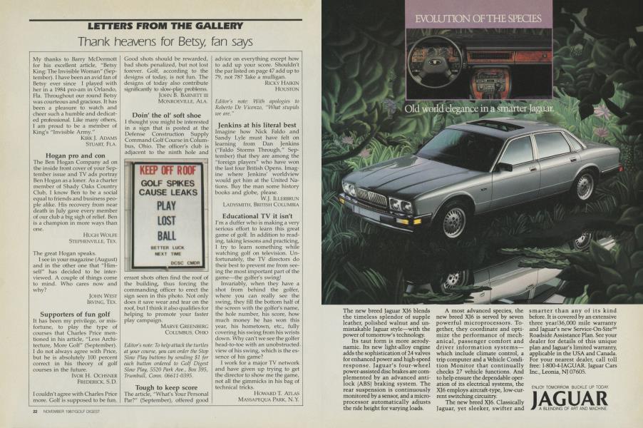 Letters From The Gallery