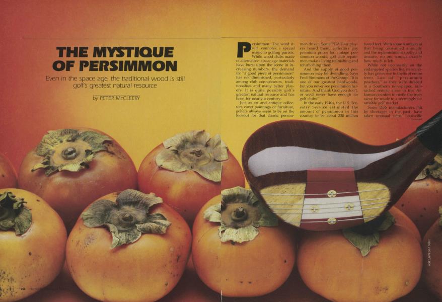THE MYSTIQUE OF PERSIMMON