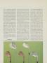 Page: - 83 | Golf Digest