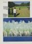 Page: - 98 | Golf Digest