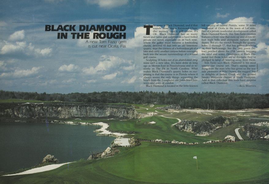 BLACK DIAMOND IN THE ROUGH