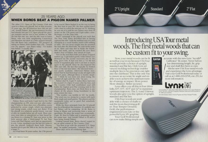 25 YEARS AGO: WHEN BOROS BEAT A PIGEON NAMED PALMER