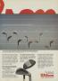 Page: - 21 | Golf Digest