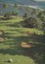 Page: - 49 | Golf Digest