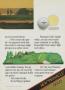 Page: - 25 | Golf Digest