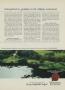 Page: - 79 | Golf Digest
