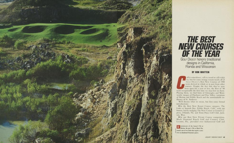 THE BEST NEW COURSES OF THE YEAR