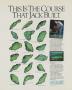 Page: - 207 | Golf Digest