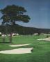 Page: - 86 | Golf Digest