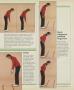 Page: - 71 | Golf Digest