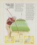 Page: - 76 | Golf Digest