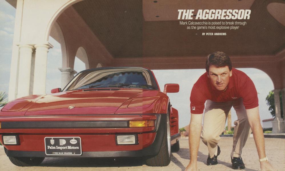 THE AGGRESSOR