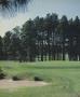 Page: - 74 | Golf Digest