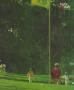 Page: - 11 | Golf Digest