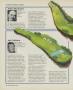 Page: - 68 | Golf Digest