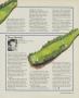 Page: - 73 | Golf Digest