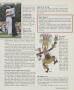 Page: - 91 | Golf Digest