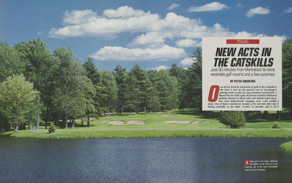 NEW ACTS IN THE CATSKILLS
