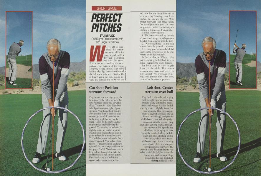 PERFECT PITCHES