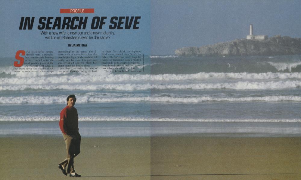 IN SEARCH OF SEVE